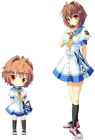 织叶朱