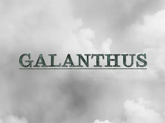 GALANTHUS