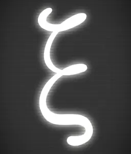 ξ