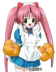 楠 真奈美