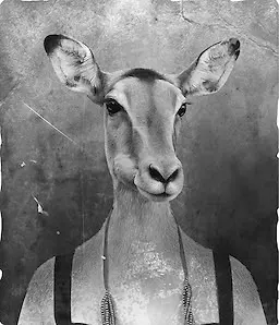 Deborah Ibanez
