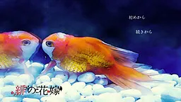 绯之花嫁