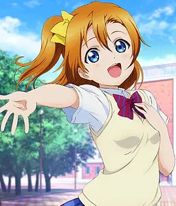 Honk