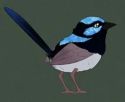 Veras