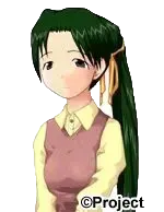 枫