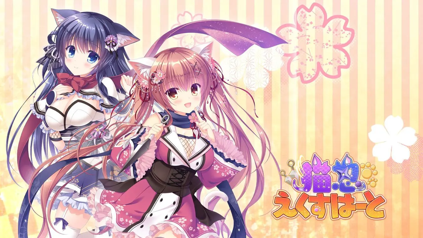 猫忍之心1