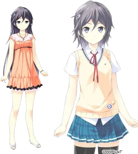 美鹭伊斯卡