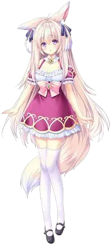 菲涅