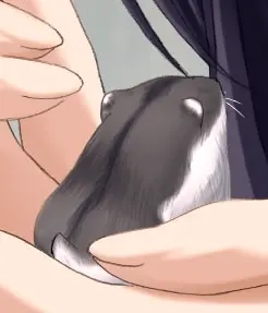 剧透角色