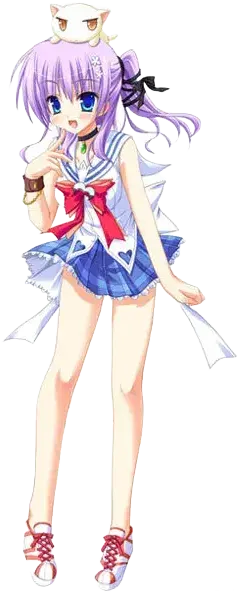 美滨羊