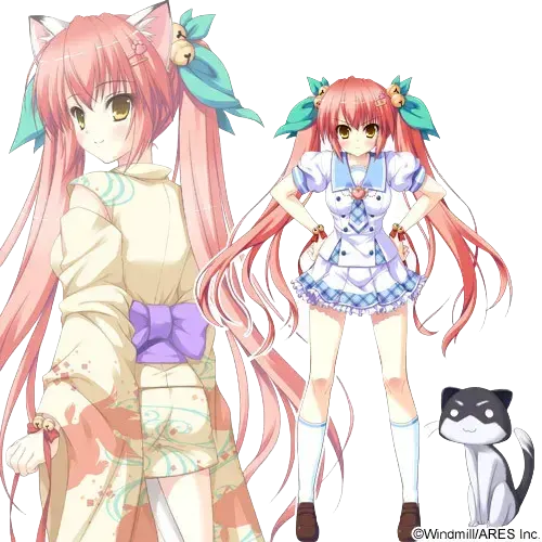 神乐坂 小猫