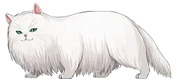 喵次郎