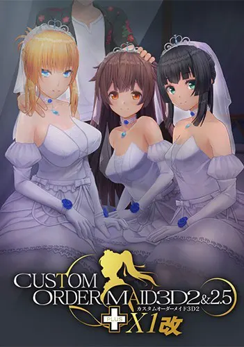 定制女仆3D2&2.5+ X1改
