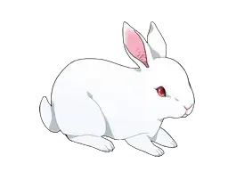 智恩