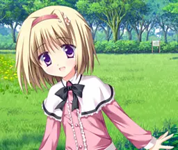蒲公英