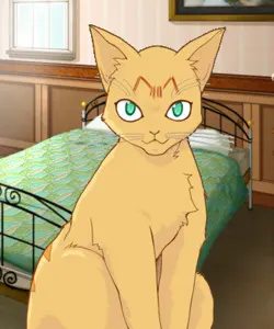守护猫