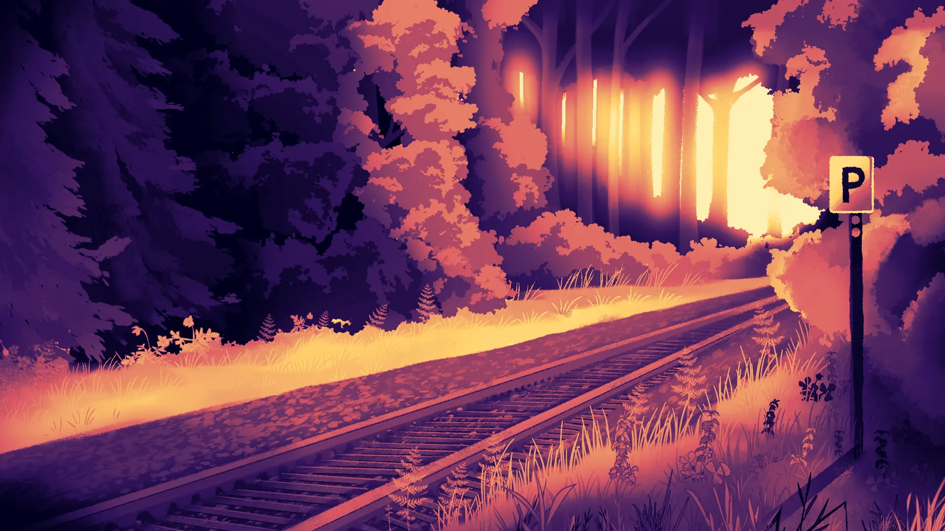 The Summer We Disappeared