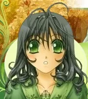 蕾