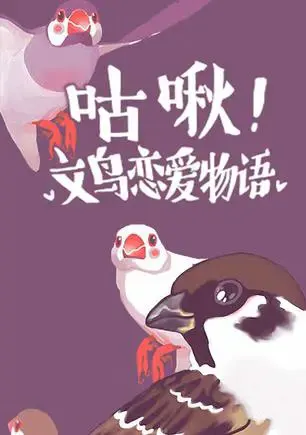 咕啾!文鸟恋爱物语