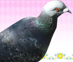 華原 涼太