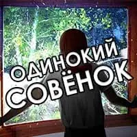Одинокий "Совёнок"