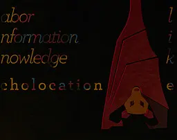 LIK:Echolocation