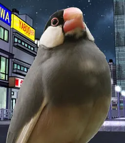 小柴 蓟