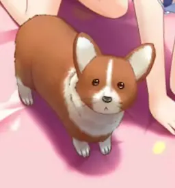 大隅