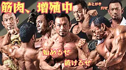 筋肉、增殖中