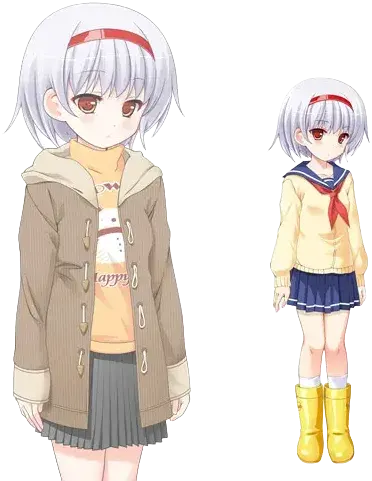 宫泽晶