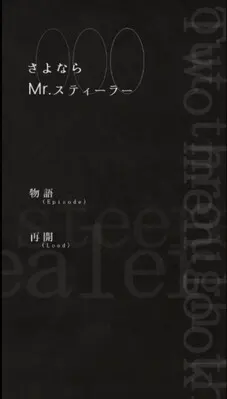 再见Mr.窃贼