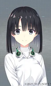 橋姫 雛菊