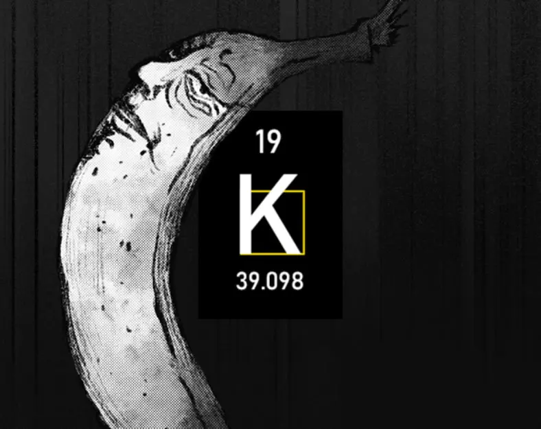 K19