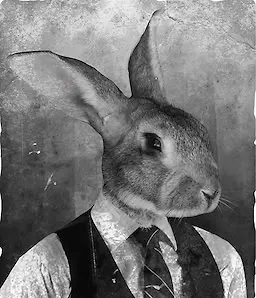 Lewis C. Hayworth