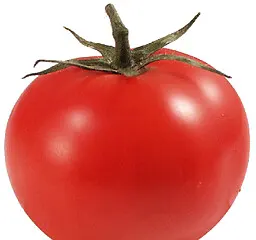 番茄