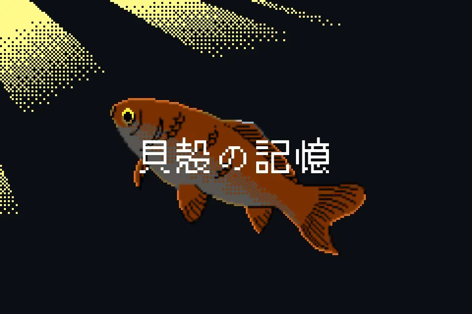 贝壳的记忆