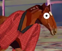 Horse in a coat