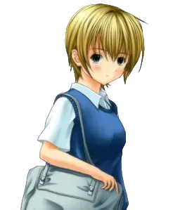 司