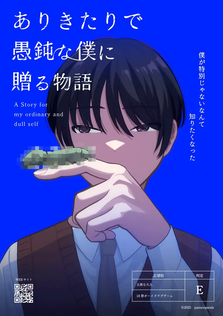 献给平凡愚钝的我的物语