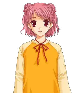 八神可可