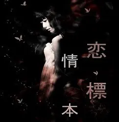恋情标本