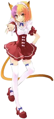 猫小姐