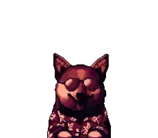 Rad Shiba