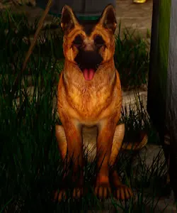 Chien
