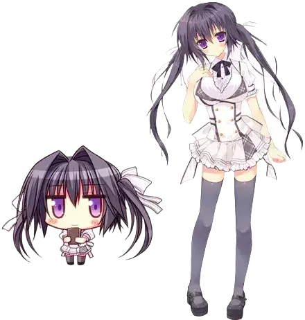 白里 花梨