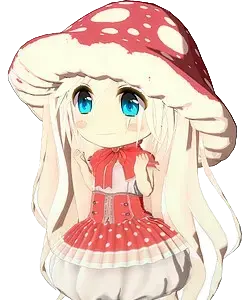 奇诺