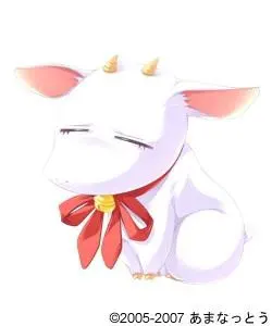 坎迪