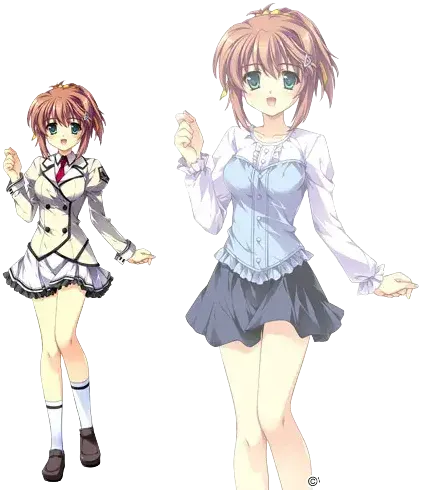 桂木 小鳥