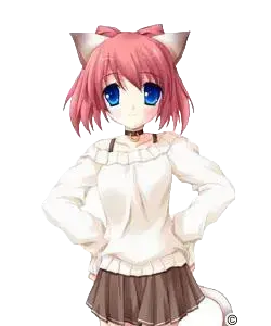 菲伊