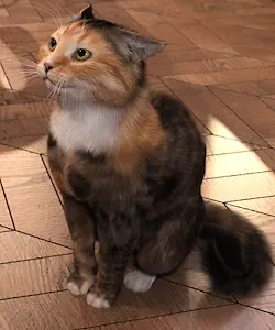 芭布斯